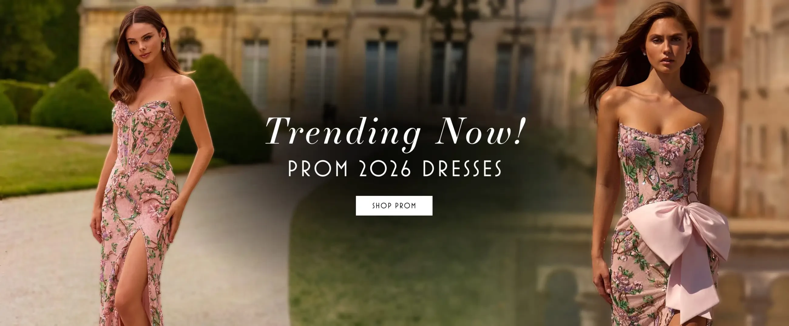 Prom Banner 2026 for Desktop